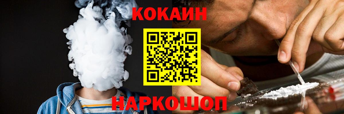 где купить   Вход с VPN  Саранск  COCAIN Fish Scale 