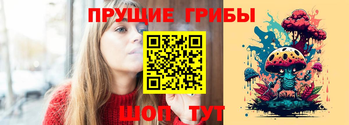 Псилоцибиновые грибы Psilocybine cubensis  Галлюциногенные грибы GOLDEN TEACHER  Саранск  Вход с VPN 