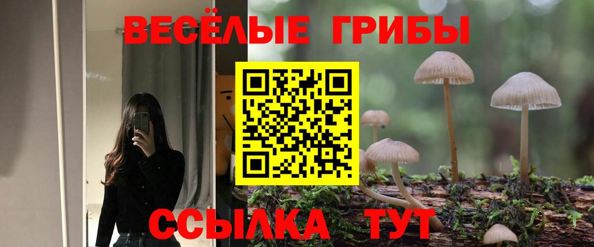 Псилоцибиновые грибы Psilocybine cubensis Саранск